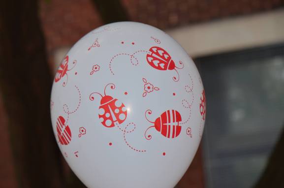 14922942_10154795932934430_1317480009_o