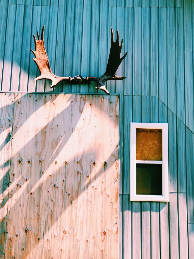 Processed with VSCO with c1 preset