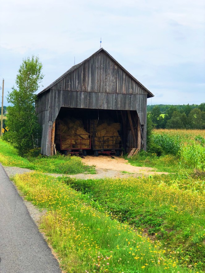 B25B0816-386D-44C7-82D5-D3378D62914D