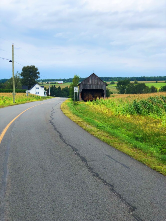 CECCD22B-0C0A-443D-A105-FCA477F4240A